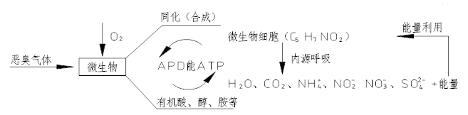 生物除臭3.png